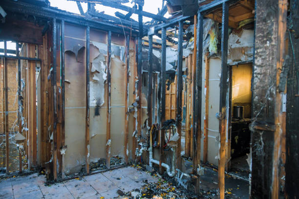 Professional Fire Damage Removal technician working in University Gardens, NY